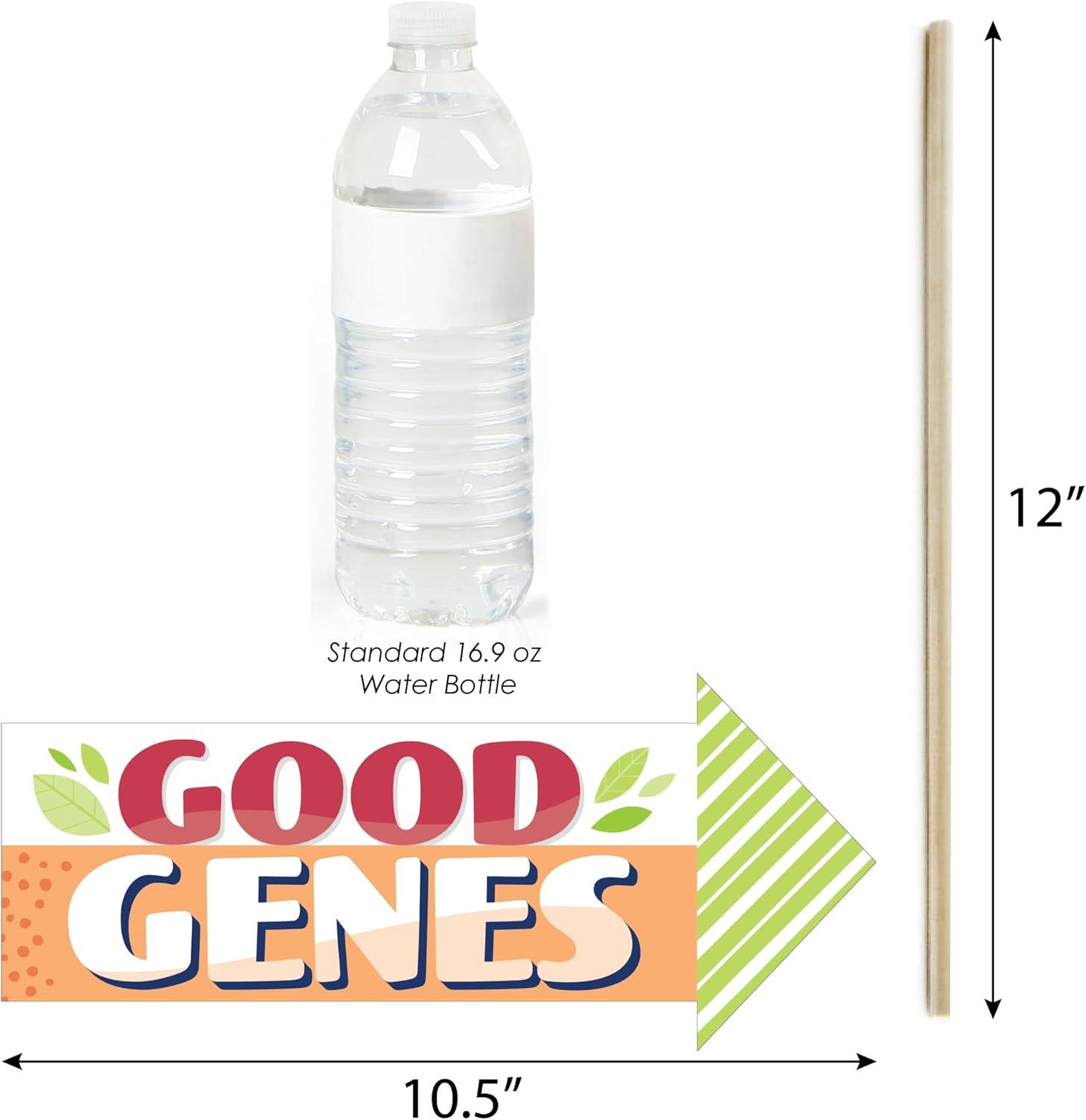 Big Dot of Happiness Funny Colorful Family Reunion - Family Gathering Party Photo Booth Props Kit - 10 Piece