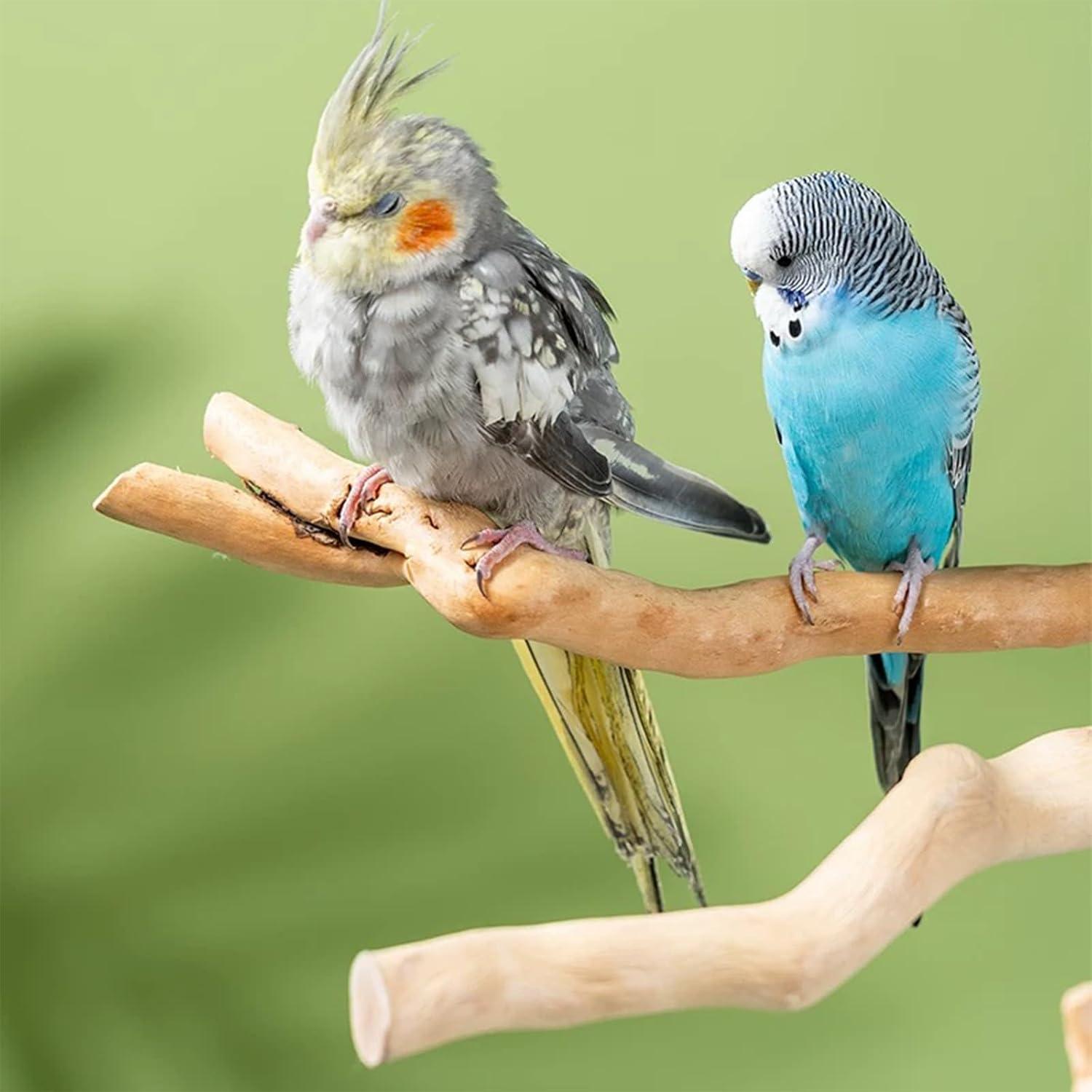 Allazone Natural Wooden Bird Perch Stand for Cage, Parrot Platform, Bird Perch Toy for Small Animals, Cockatiels, Parakeets, Finches