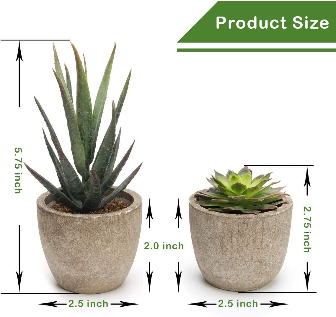 Artificial Succulent Plants Potted, Assorted Decorative Faux Succulent Potted Fake Cactus Cacti Plants With Pots, Set Of 5