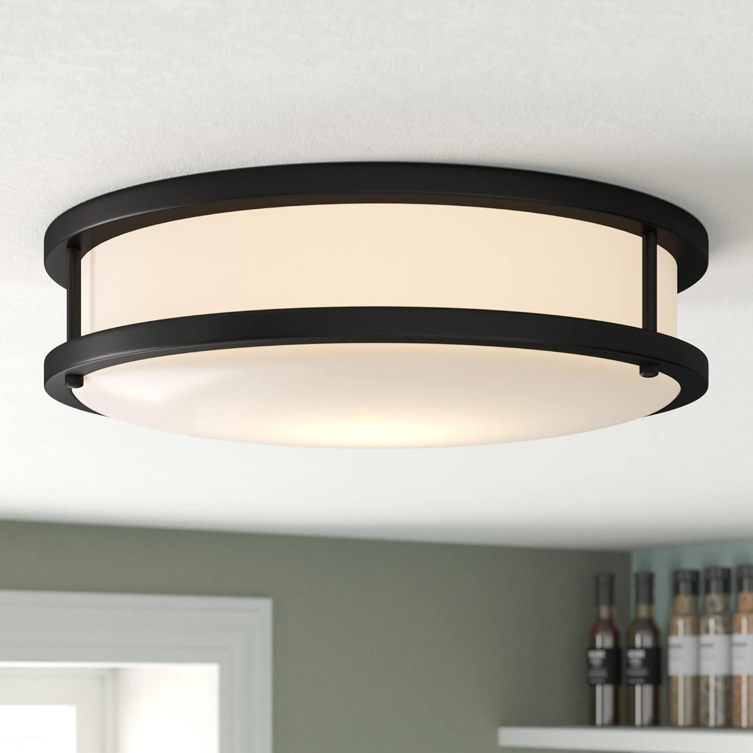 Matte Black 16" LED Flush Mount Ceiling Light with White Shade