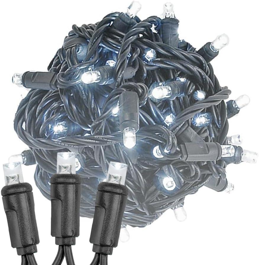 Novelty Lights 50 Light Pure White LED Christmas Mini Light Set (Black Wire, 11 Feet)