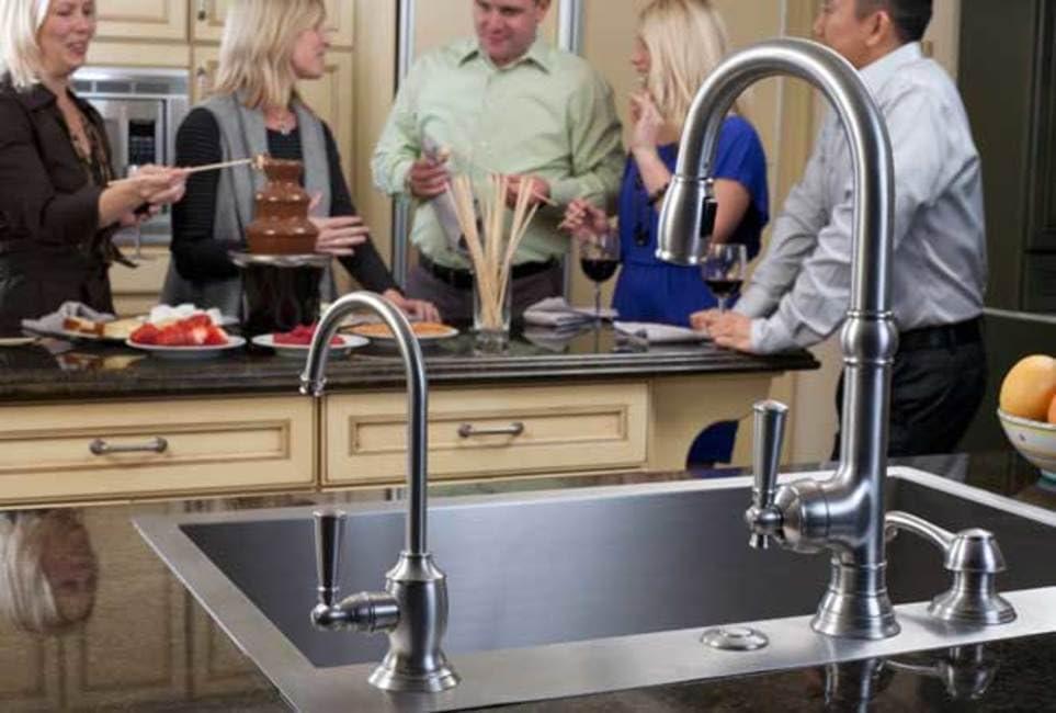 Jacobean Single Handle Pull Down Kitchen Faucet