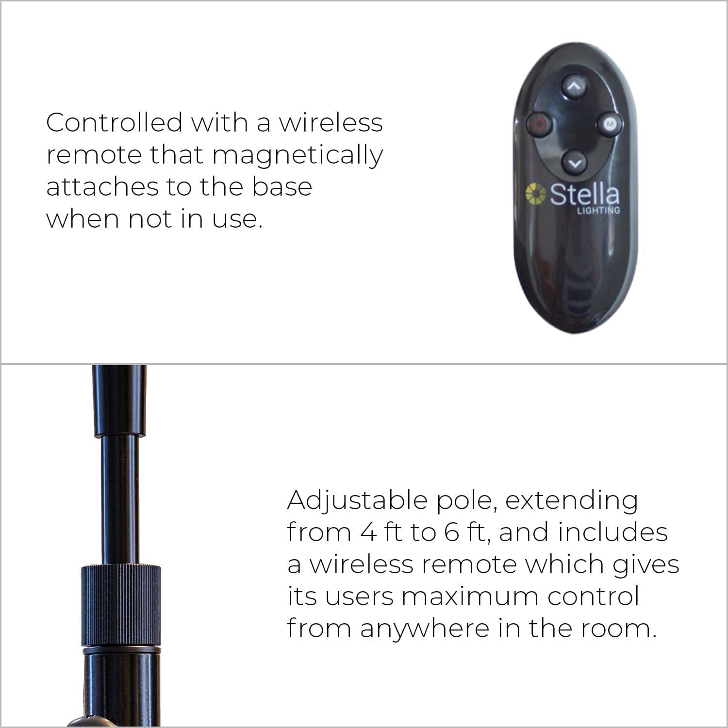 Stellasky Floor Lamp-Black