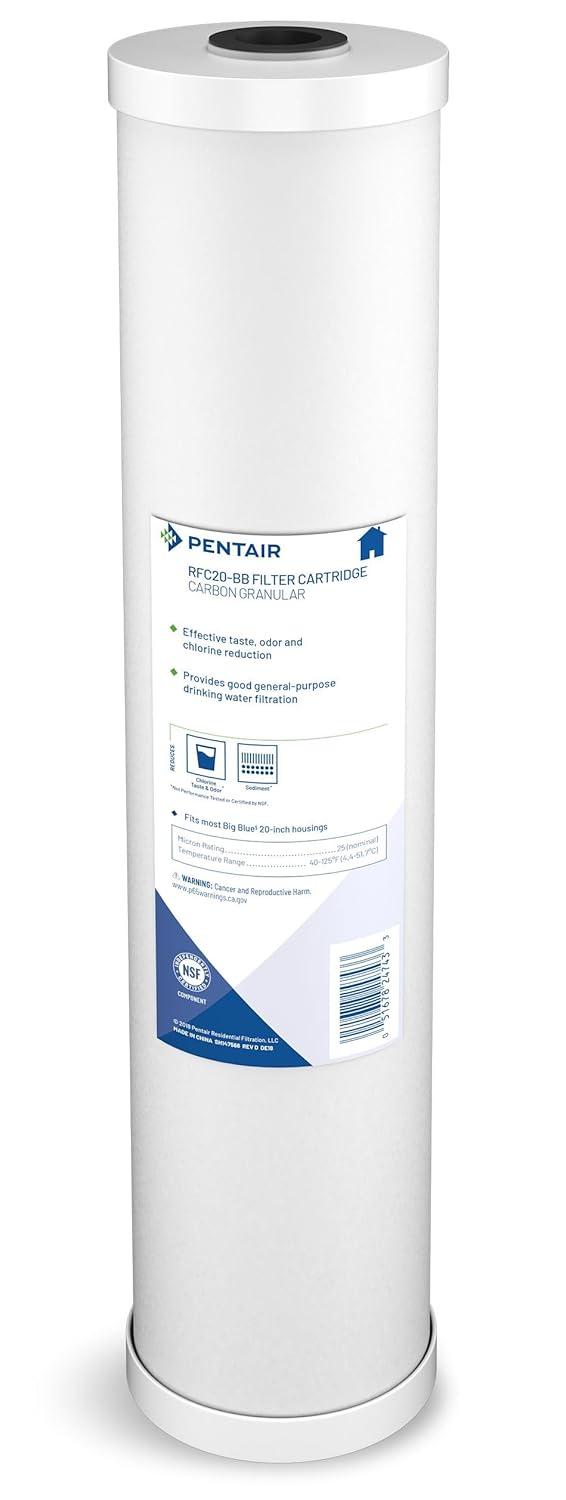 Pentair 20-Inch White Carbon Water Filter Cartridge