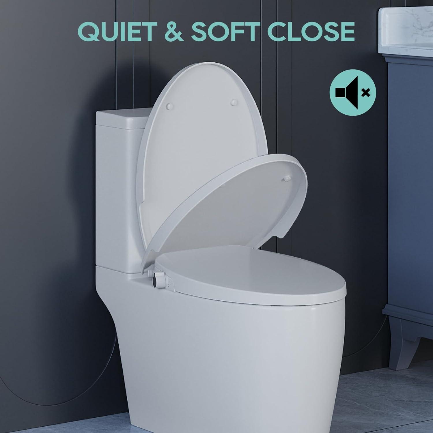 White Non-Electric Bidet Toilet Seat with Dual Nozzles