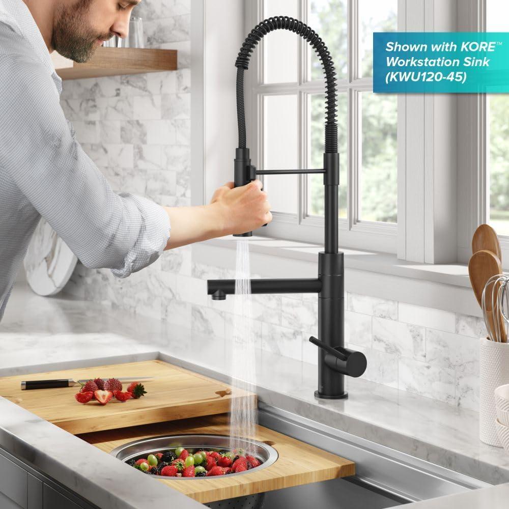 Matte Black Semi-Professional Kitchen Faucet with Pull-out Spray