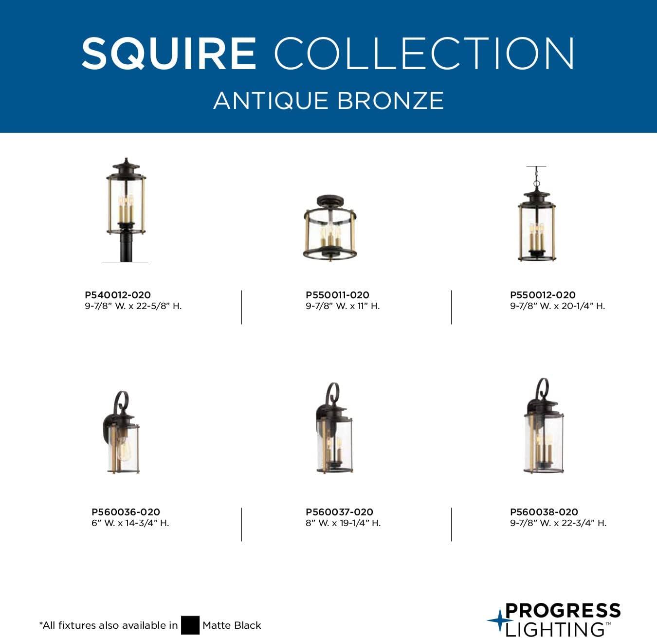 Progress Lighting Squire 1-Light Small Wall Lantern, Antique Bronze, Clear Glass Shade