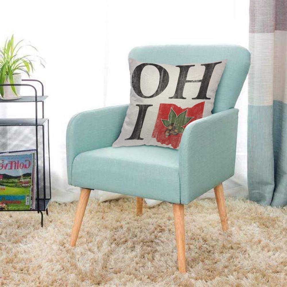 AOYEGO Oh I Love Ohio States Throw Pillow Cover Vintage Red Buckeye Nut Pillow Case 18x18 Inch Decorative Men Women Room Cushion Cover for Home Couch Bed