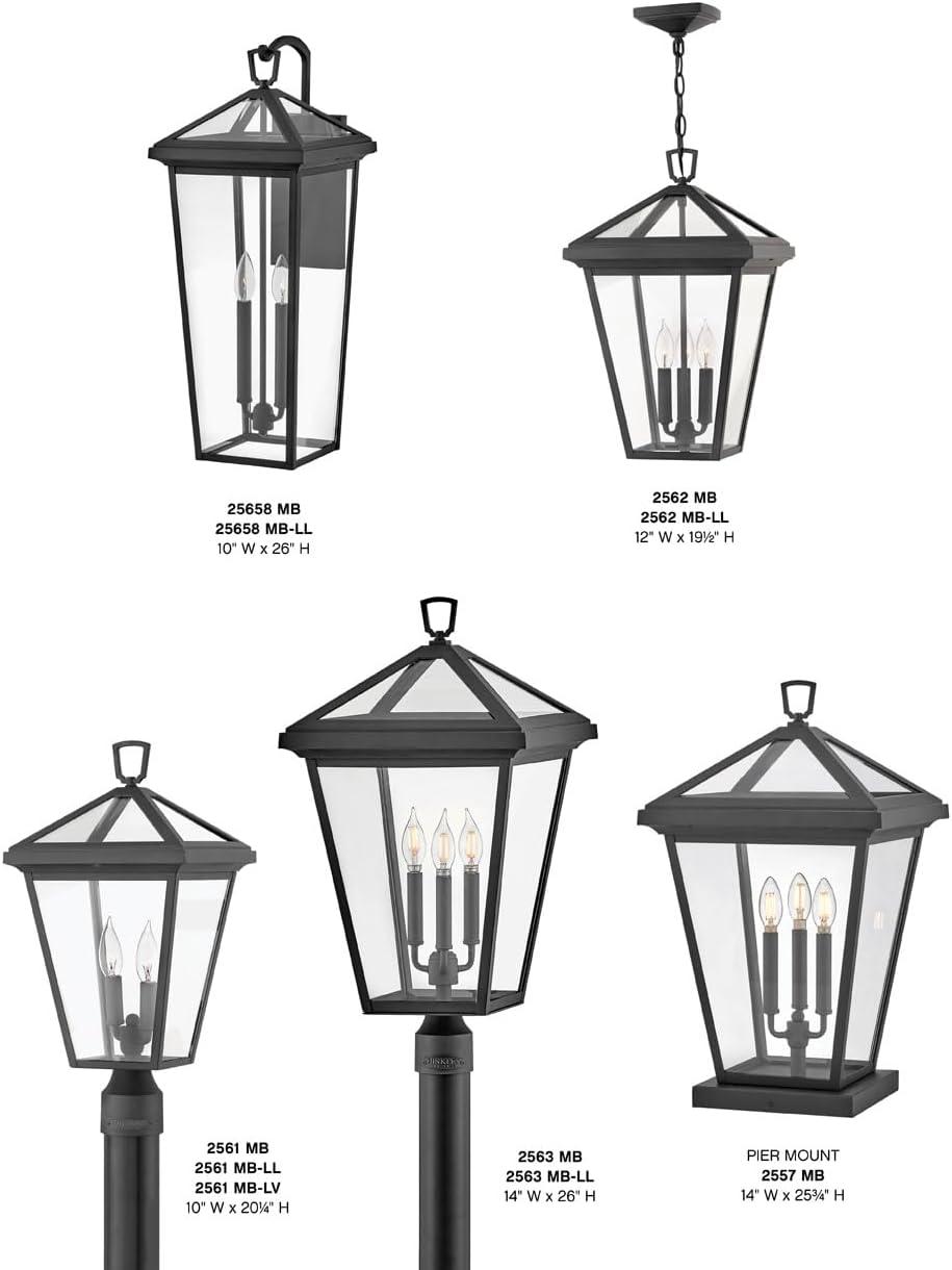 Aalford Place Bronze 3 - Bulb 19.5" H Outdoor Pendant
