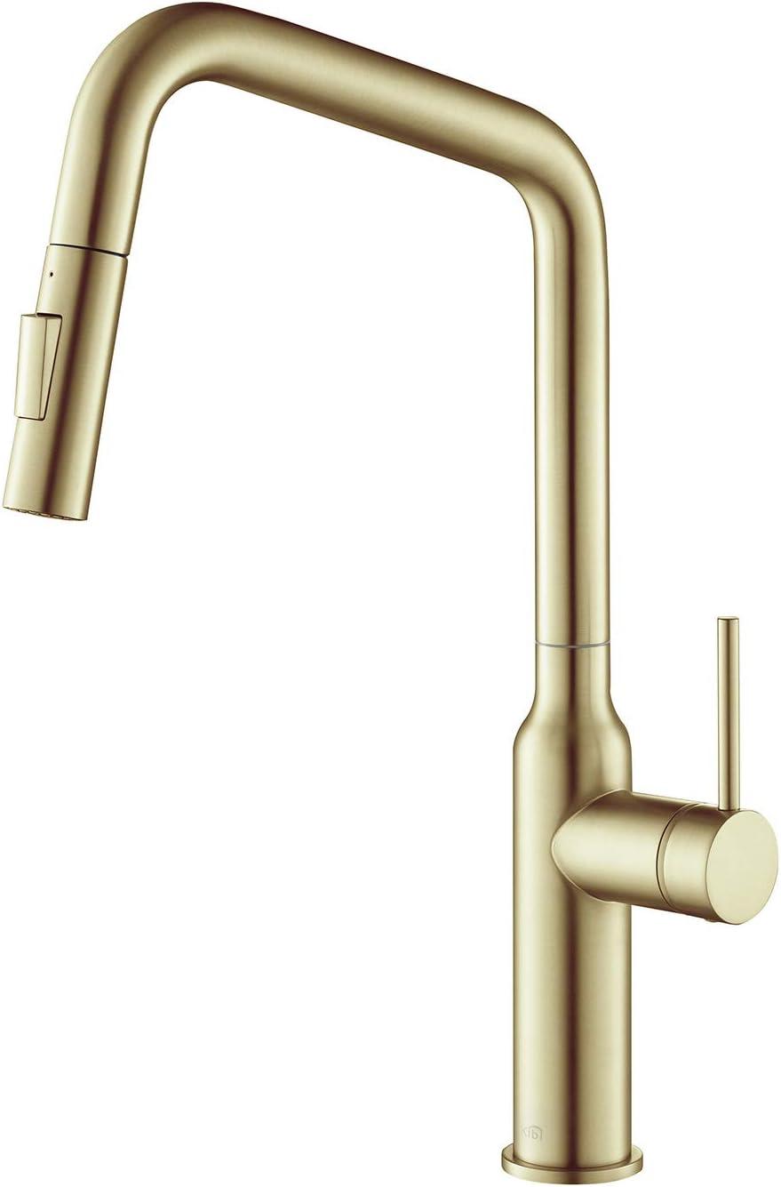 Macon Pull Down Single Handle Kitchen Faucet with Accessories