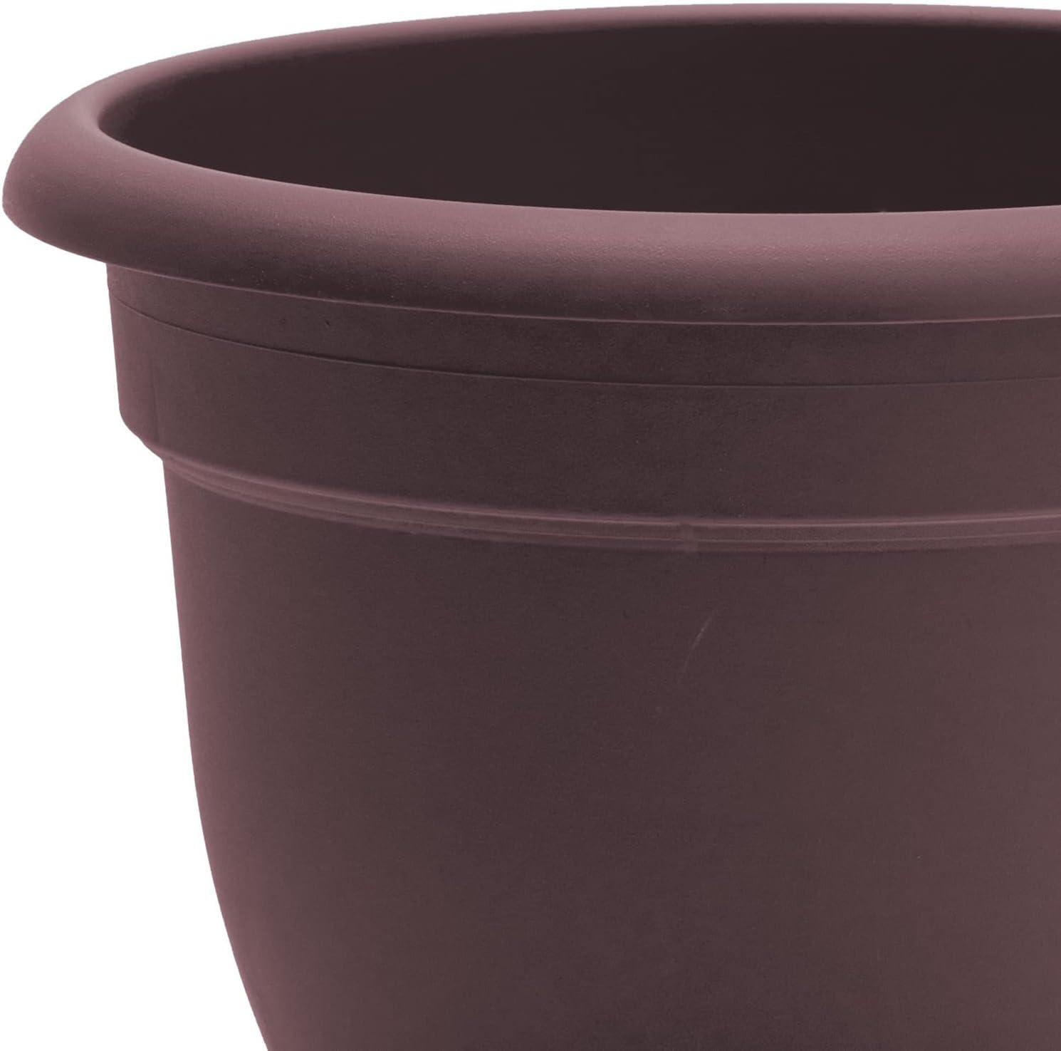 Bloem Ariana Self Watering Planter 12" Merlot. The Ariana planter wate, Each