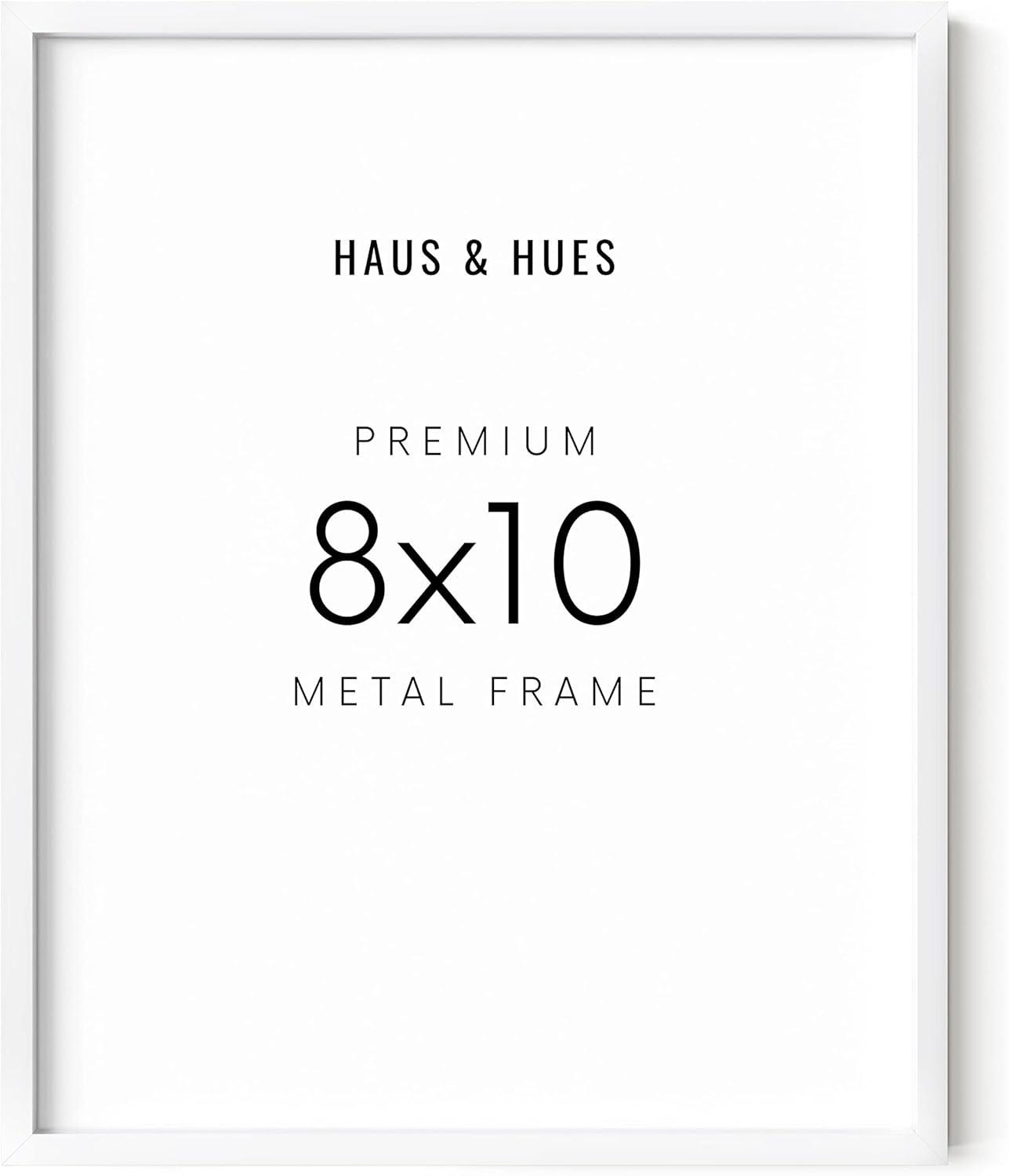 Aluminum Frame (Set Of 1) Metal Picture Frame