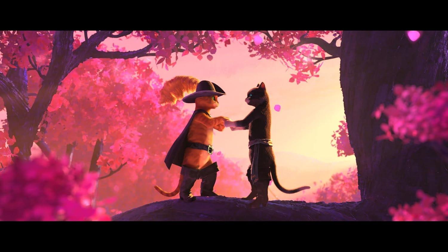 Puss in Boots the Last Wish (Blu-ray)