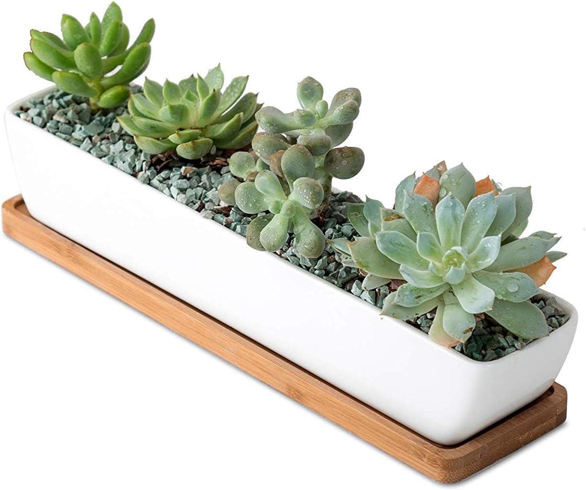 Kipokalor Long Rectangular Succulent Planter Pot, one Set of 11.1x2.36x1.77inch Modern Minimalist White Ceramic with Saucer for Office,Desk,Window. (Bamboo Saucer, One Set)