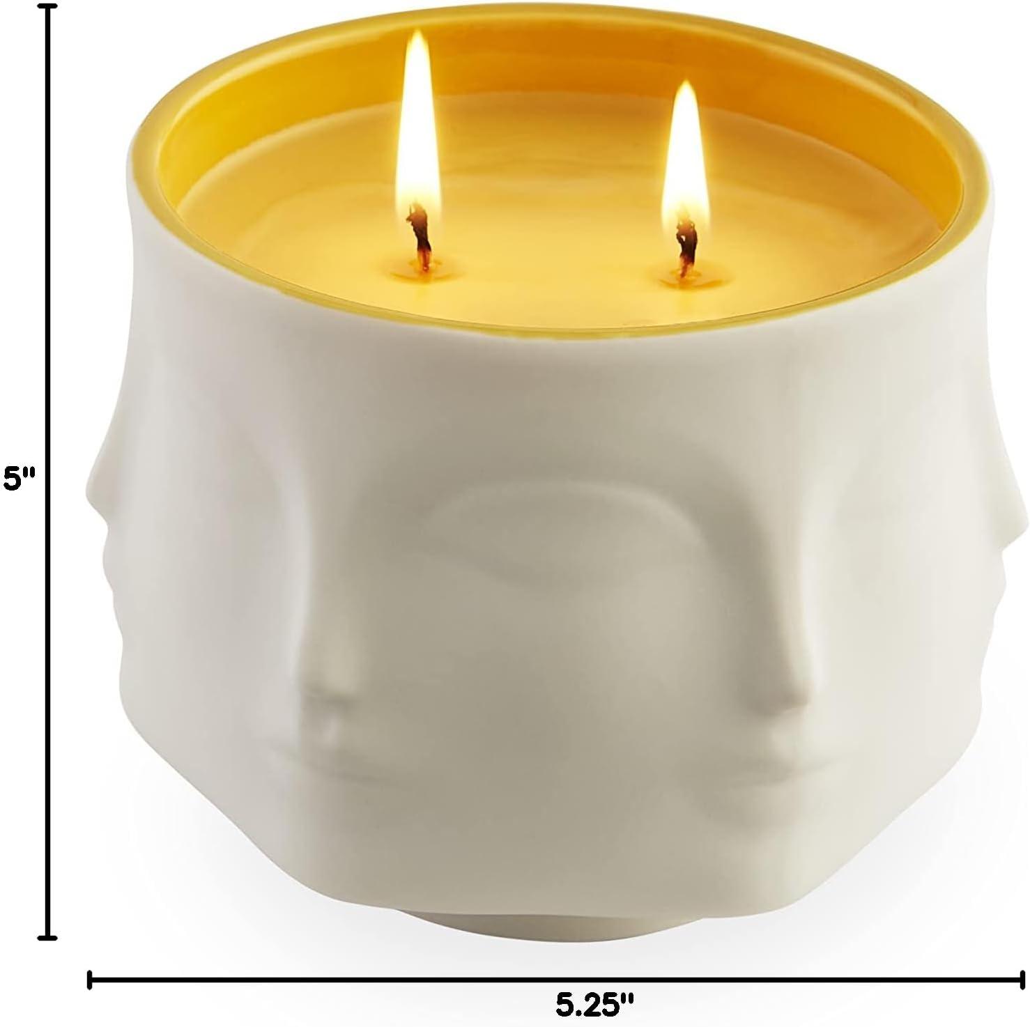 Jonathan Adler Muse Pink Grapefruit, White Grapefruit Rind, Green Vine Accords, Pink Freesia, And Passion Fruit Scented Designer Candle with Porcelain Holder