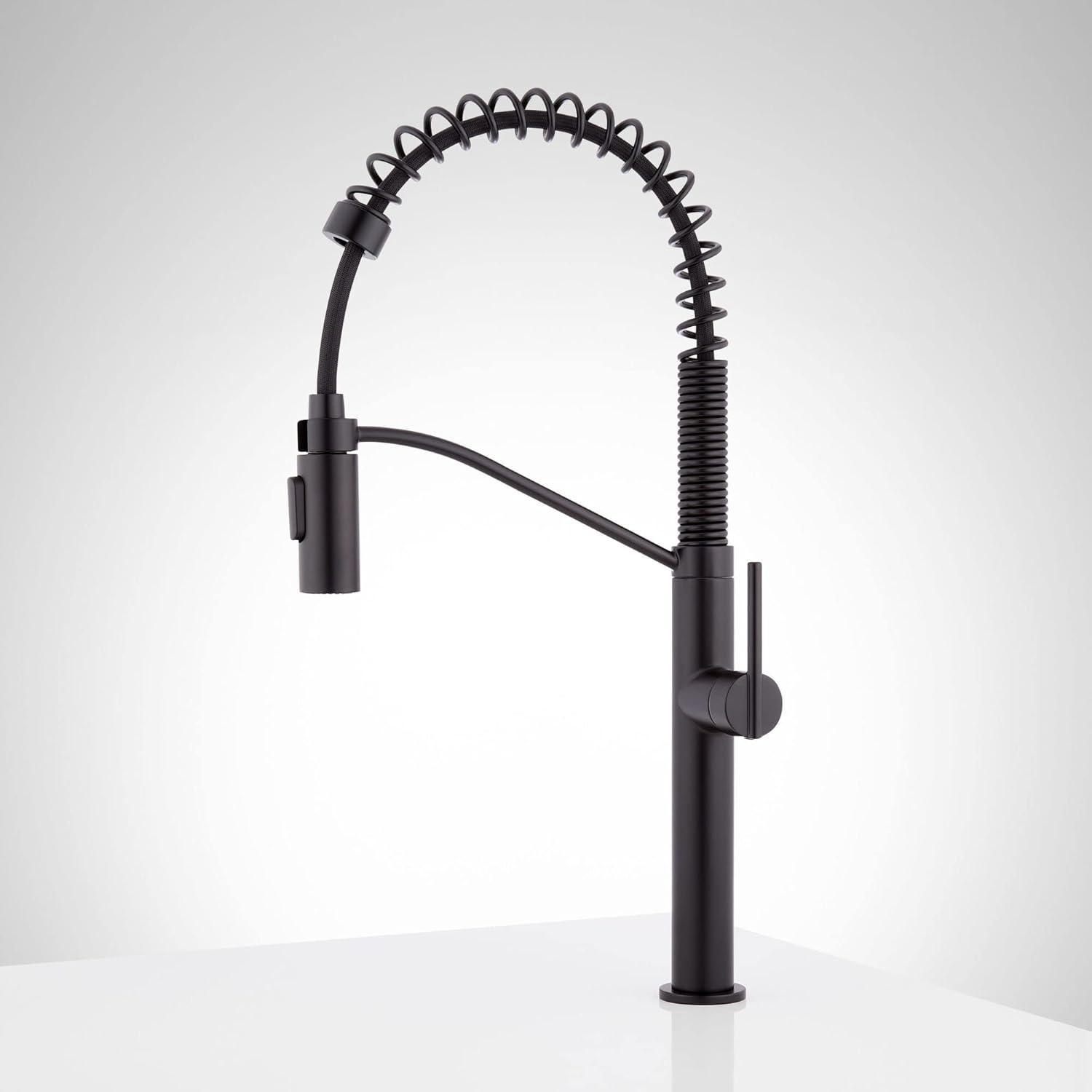 Matte Black Single Handle Pull-Down Kitchen Faucet with Spray