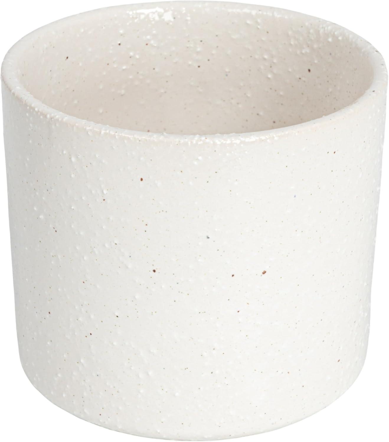 White Stoneware Planter Pot with Black Metal Stand