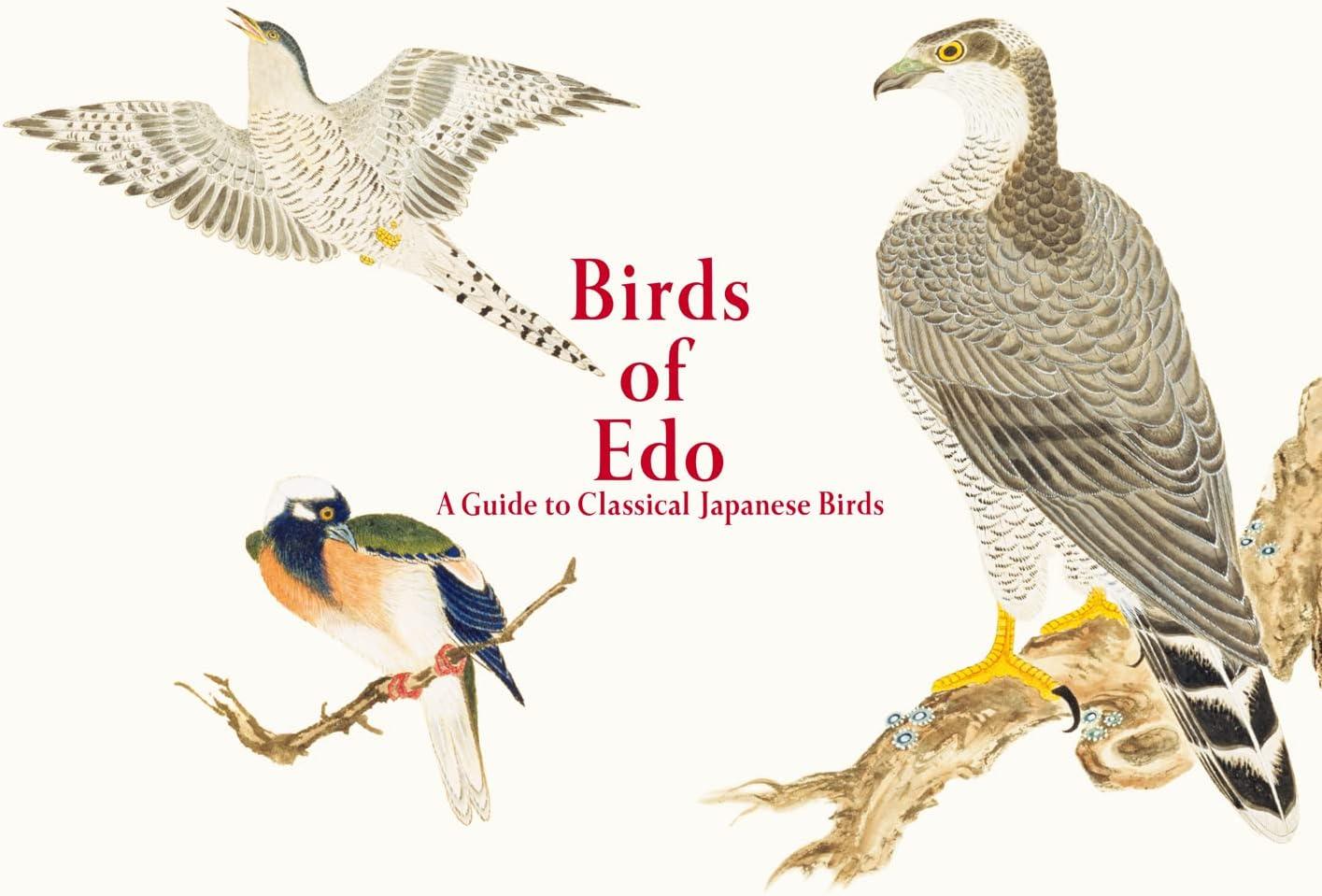 Birds of EDO - (Pie EDO Nature Illustration) by  Kazuhiko Tajima (Paperback)