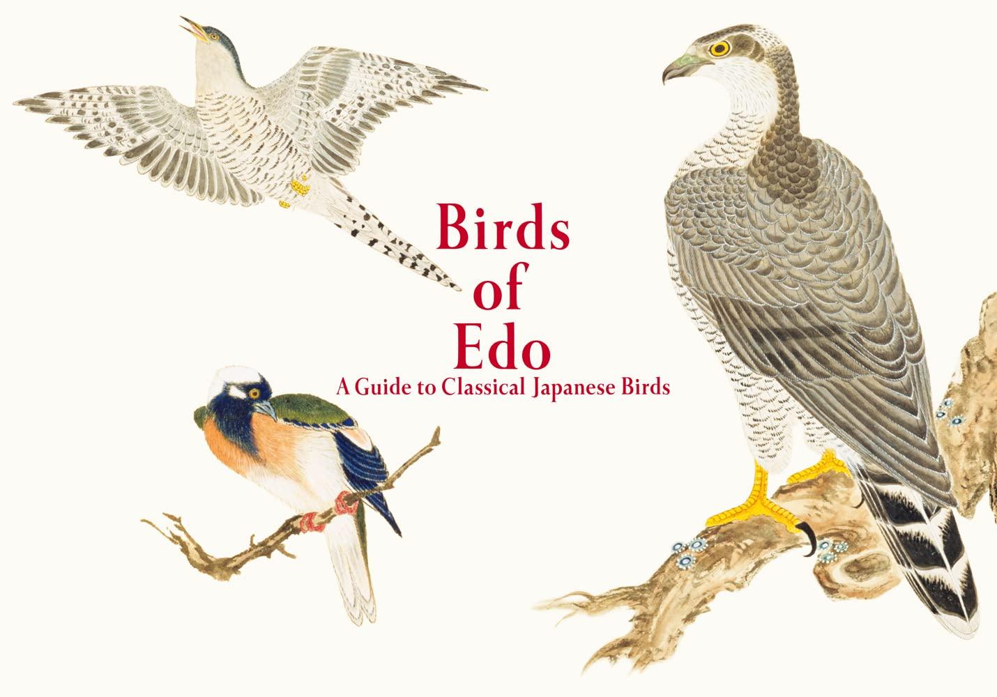 Birds of EDO - (Pie EDO Nature Illustration) by  Kazuhiko Tajima (Paperback)
