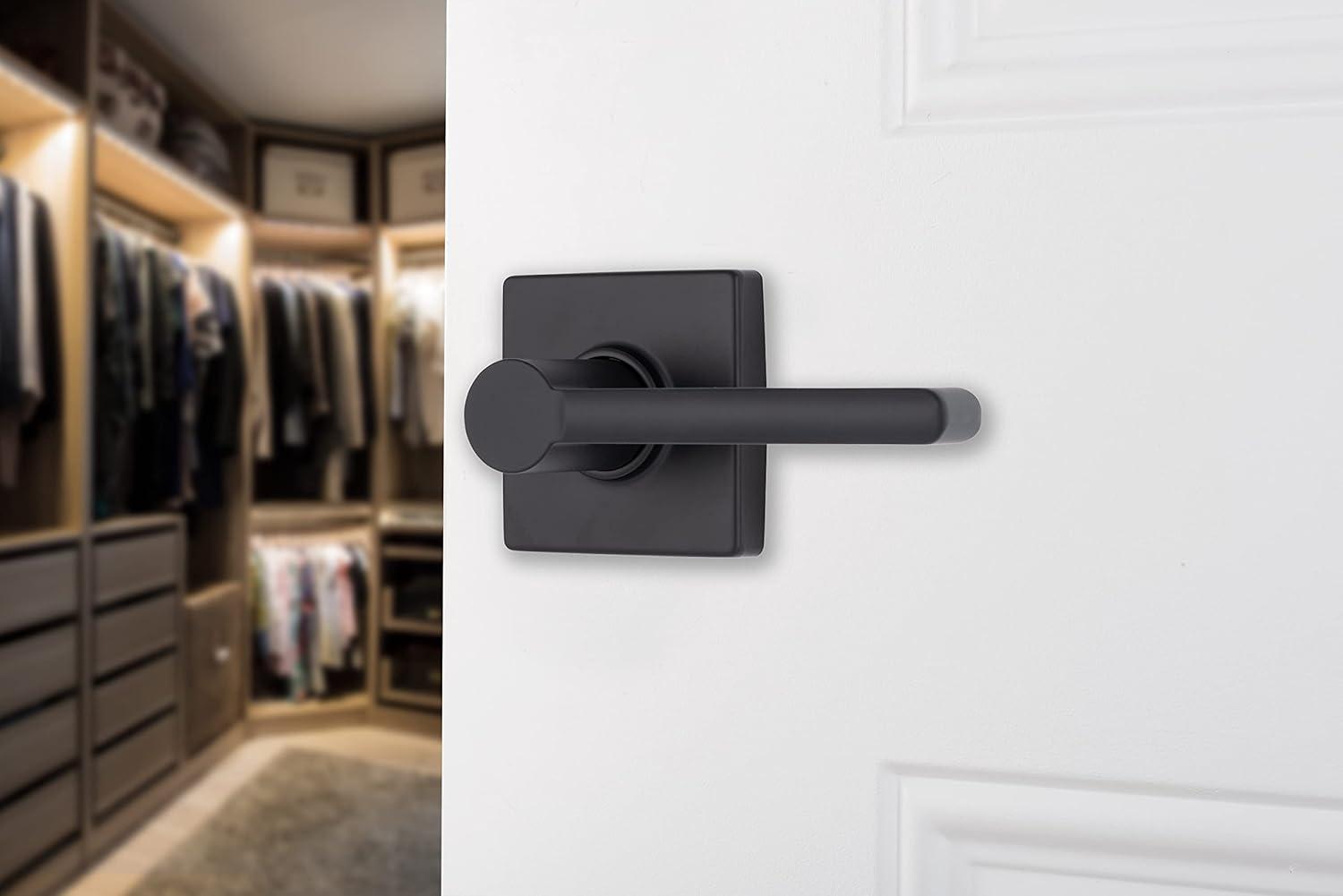 Brinks Mendocino Contemporary Passage Lever