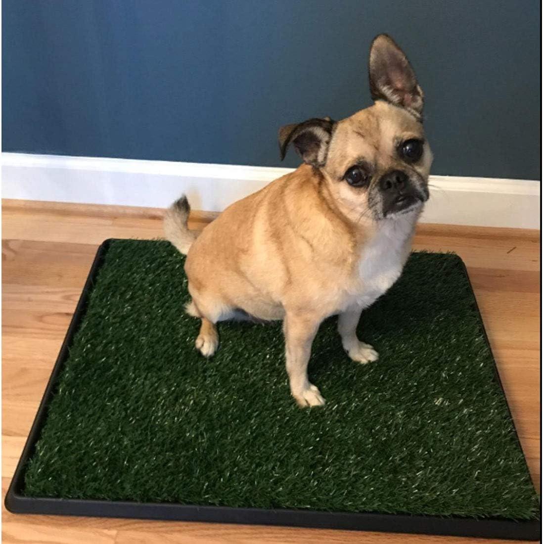 LOMANTOWN Fake Grass Dog Potty Pad Portable Dog Turf Trainer Grass with Tray, 30"x20"