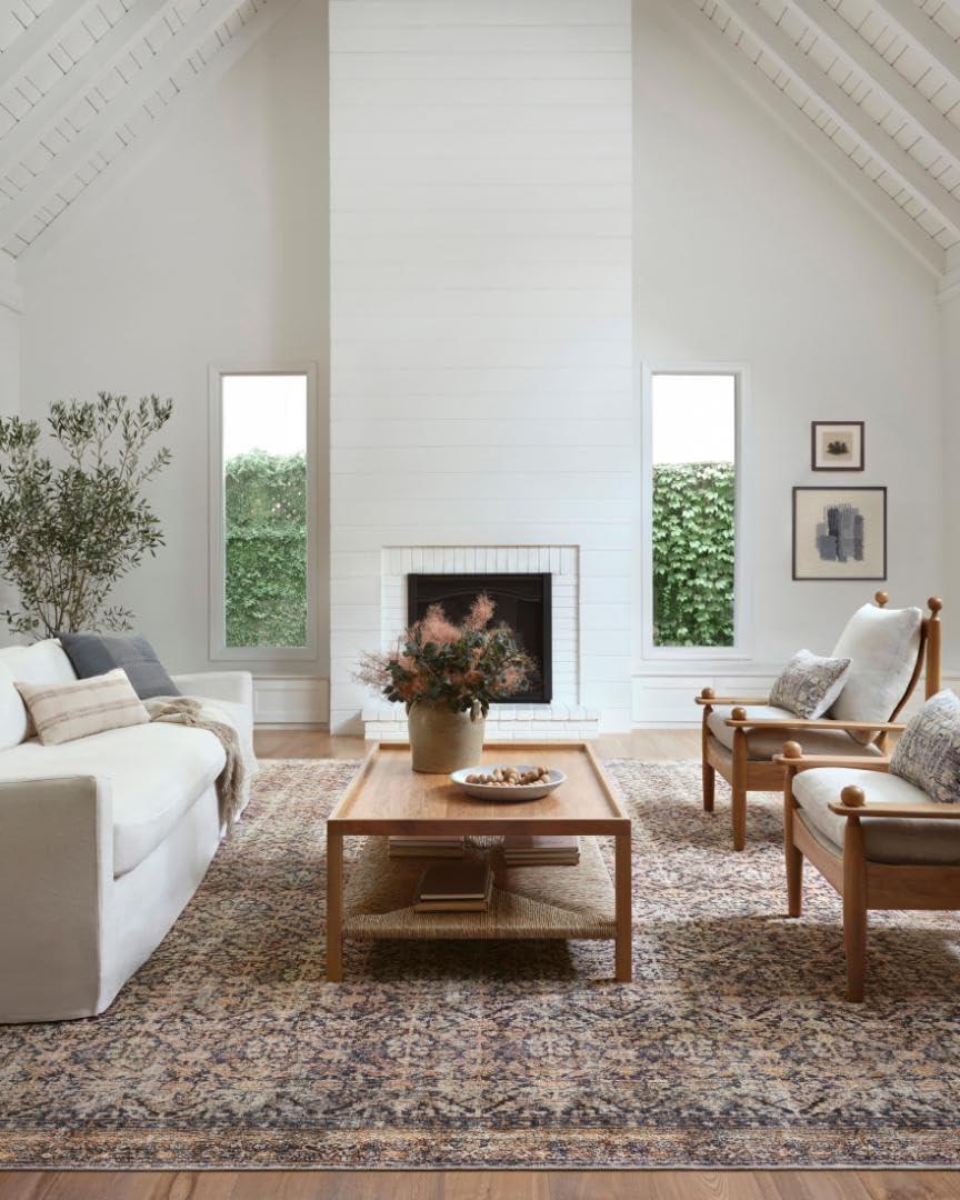 Billie Oriental Ink / Salmon Area Rug