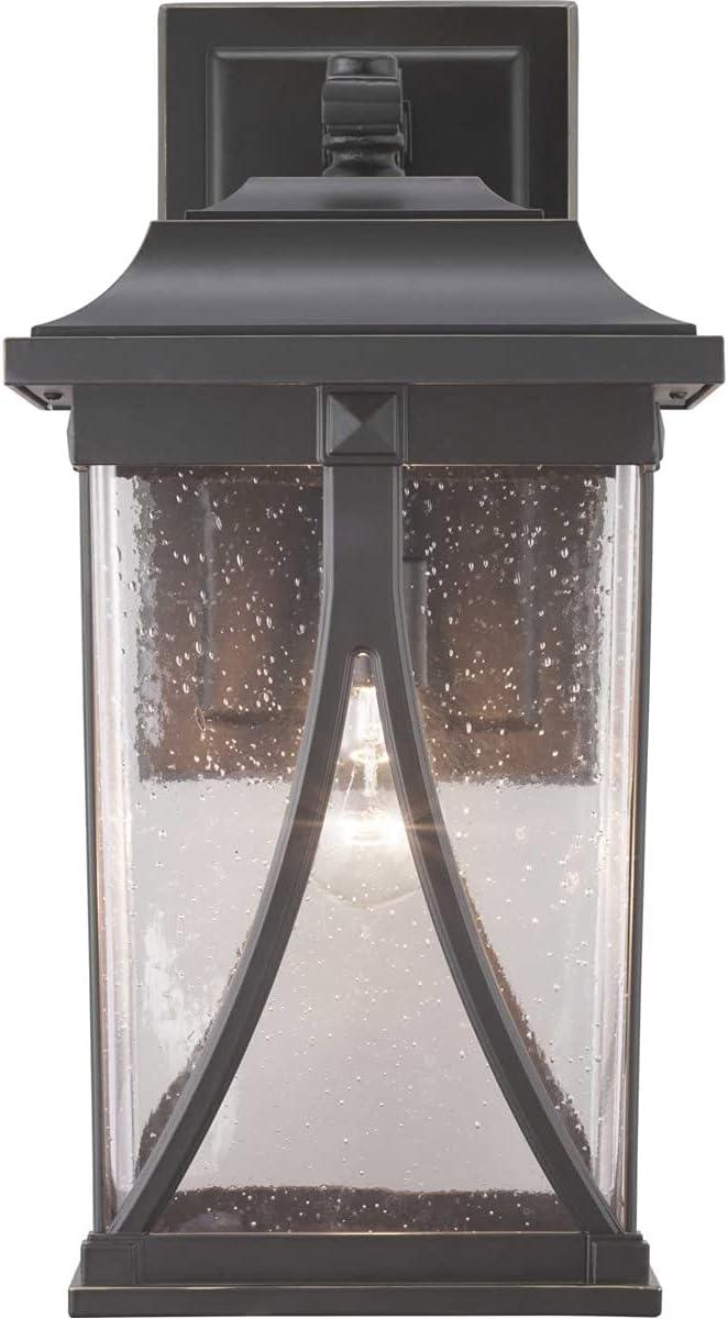 Progress Lighting Abbott 1-Light Outdoor Wall Lantern in Antique Bronze with Seeded Glass Shade