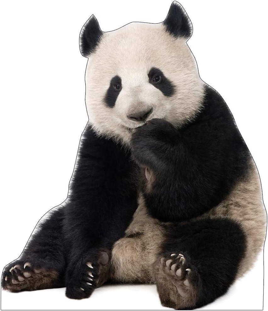 Advanced Graphics 1485 Giant Panda - 57" x 49" Cardboard Standup