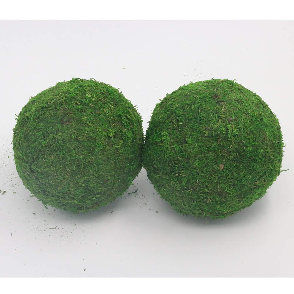 Nice purchase Handmade Natural Green Plant Moss Balls Decorative for Home Party Display Decor Props (6 in)