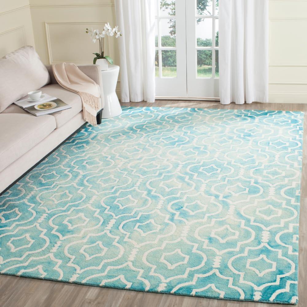 Dip Dye DDY538 Hand Tufted Area Rug  - Safavieh