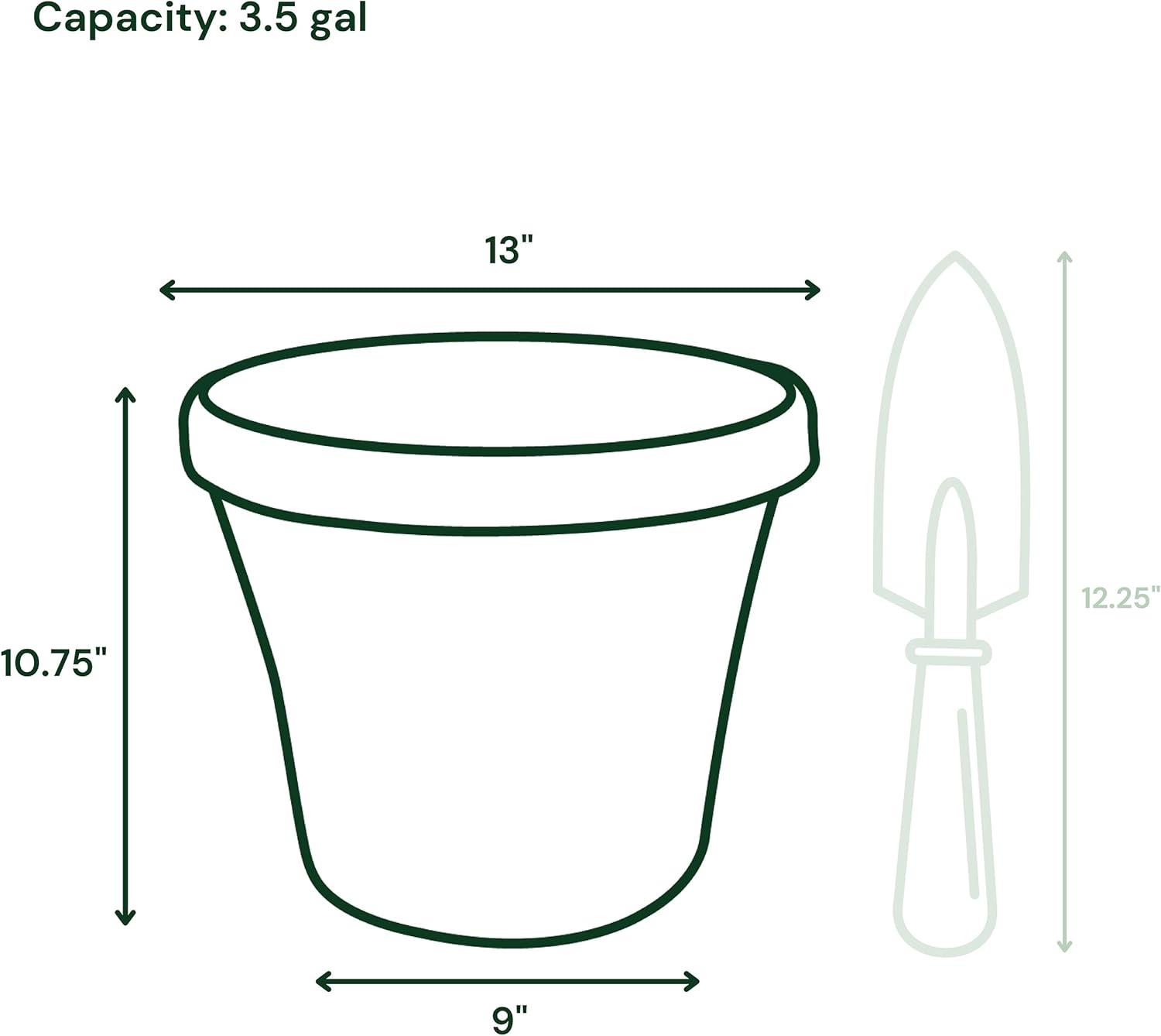 Bloem TerraPot 10.7 in. H X 12 in. D Resin Planter Living Green