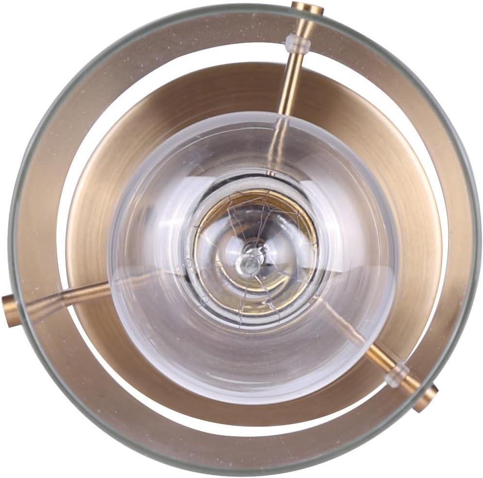 Gold Adjustable Height Clear Glass Pendant Light