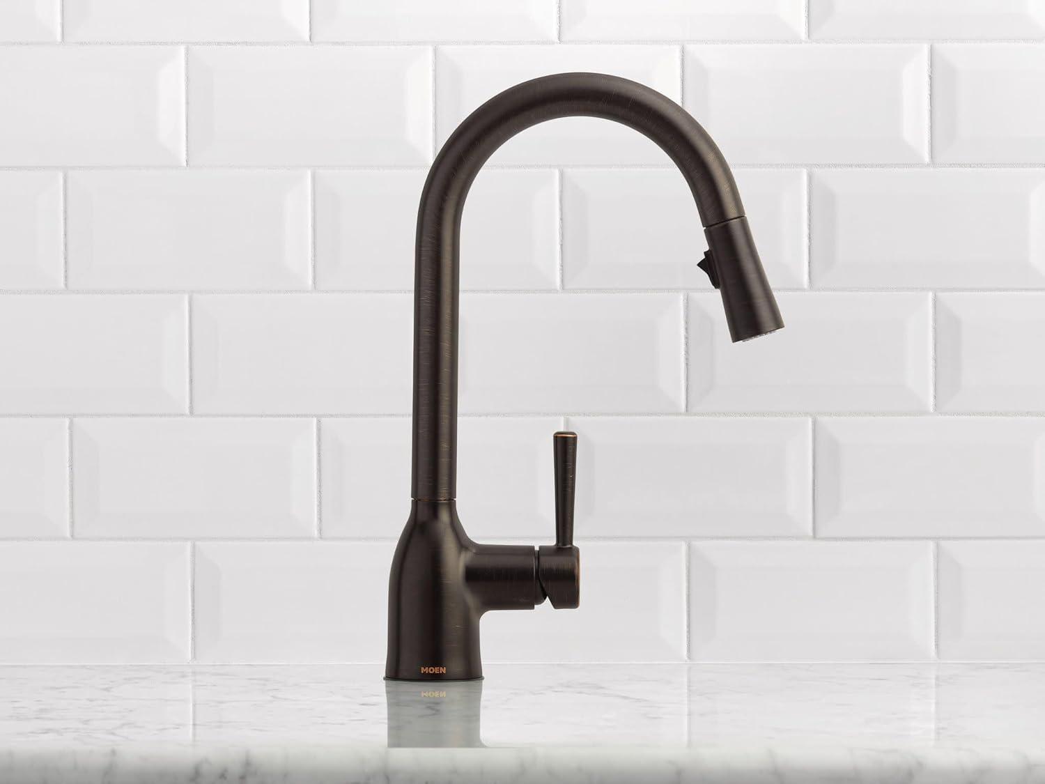 Moen Adler Pull Down Single Handle Kitchen Faucet with Accessories 87233BRB
