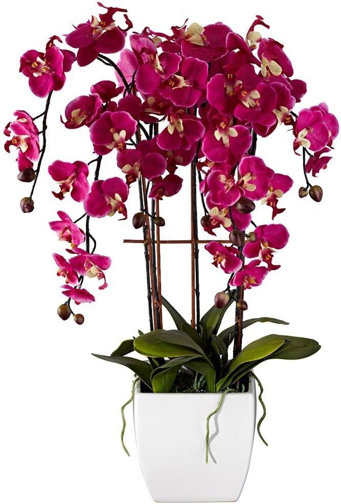 Fuchsia Orchid in White Ceramic Pot, 30" Tall