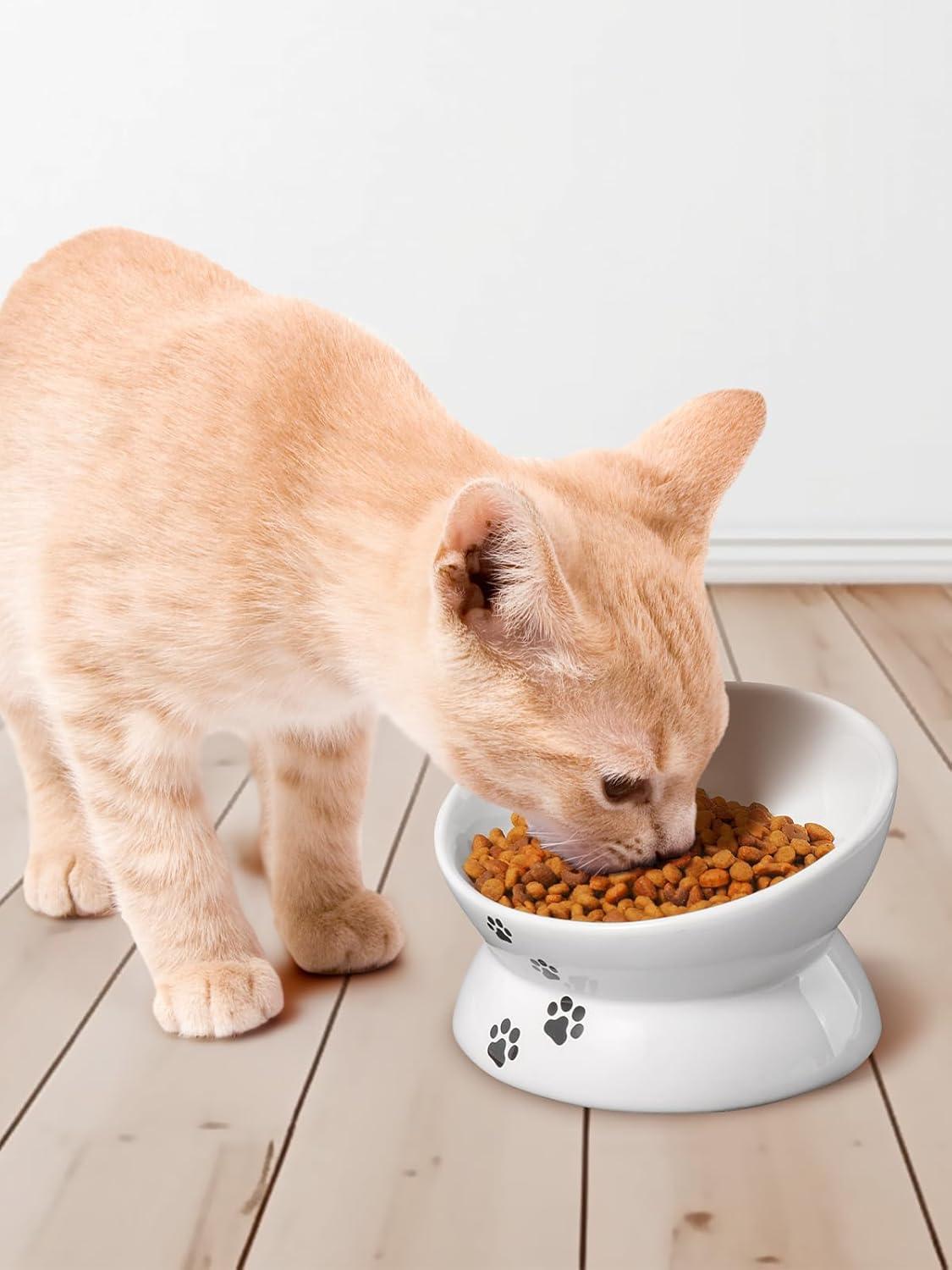 Elevated Tilted Ceramic Cat Bowl for Flat-Faced Pets