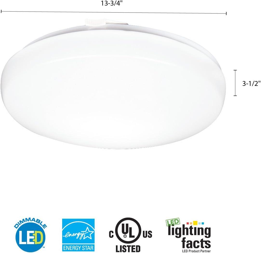 LED Flush Mount