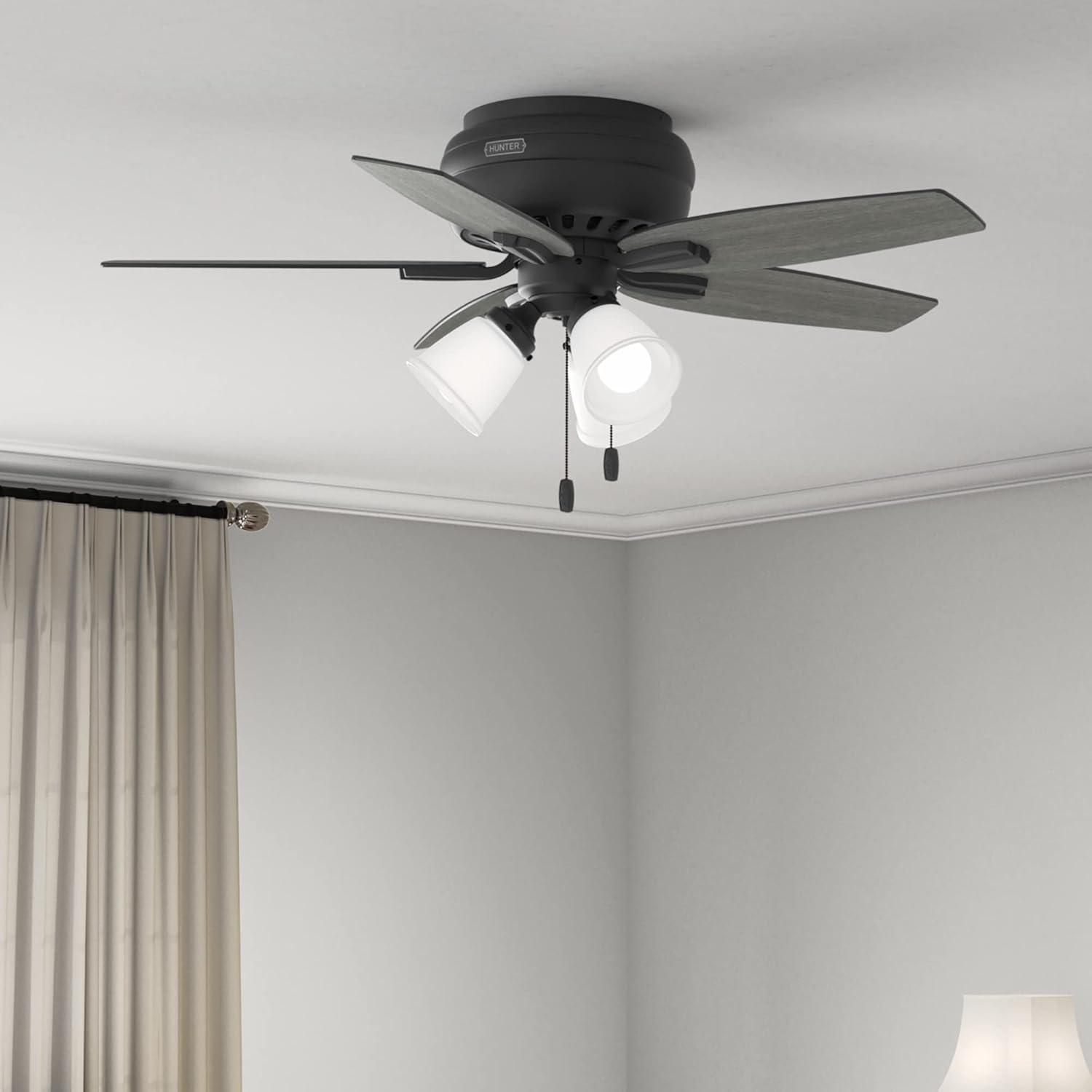 Newsome 42" 5 - Blade Flush Mount Ceiling Fan with Lights and Pull Chains