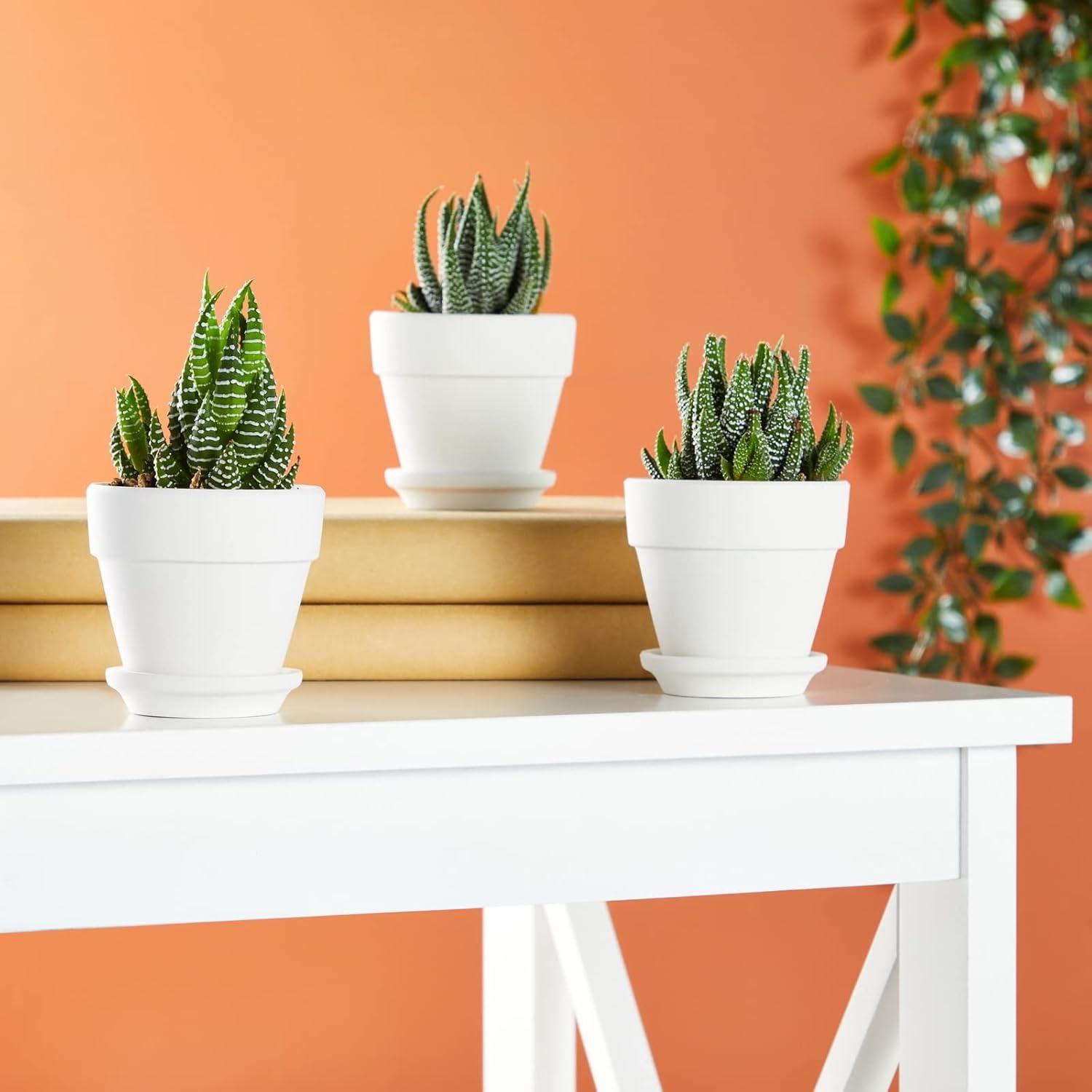 Juvale 12 Pack White Clay Mini Terracotta Pots with Saucers and Drainage Hole, Paintable Pottery for Succulents, Crafts, and Wedding Decor, 3 Inch