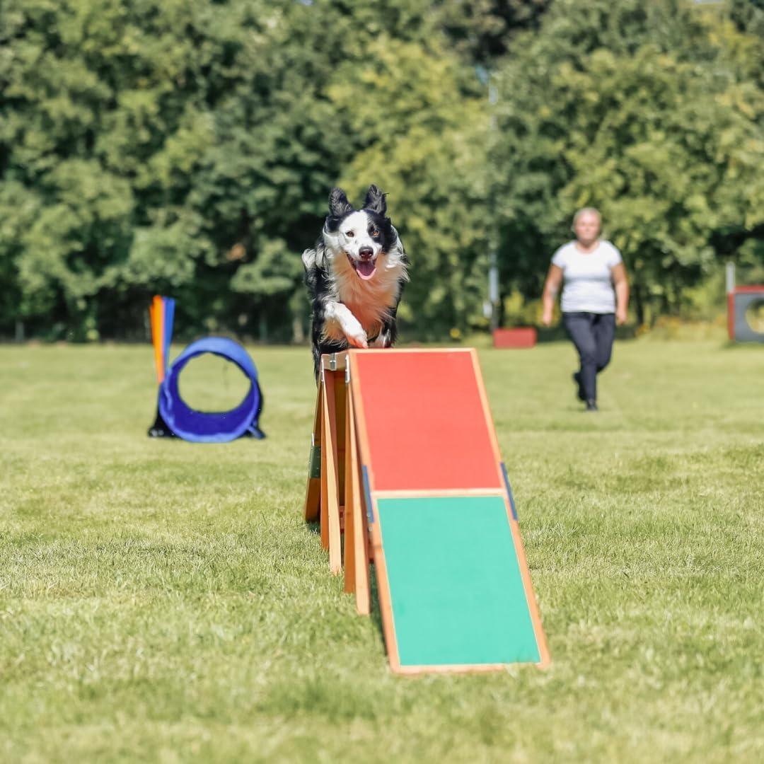 TRIXIE Dog Agility Dogwalk, Canine Agility Training, Obedience Training