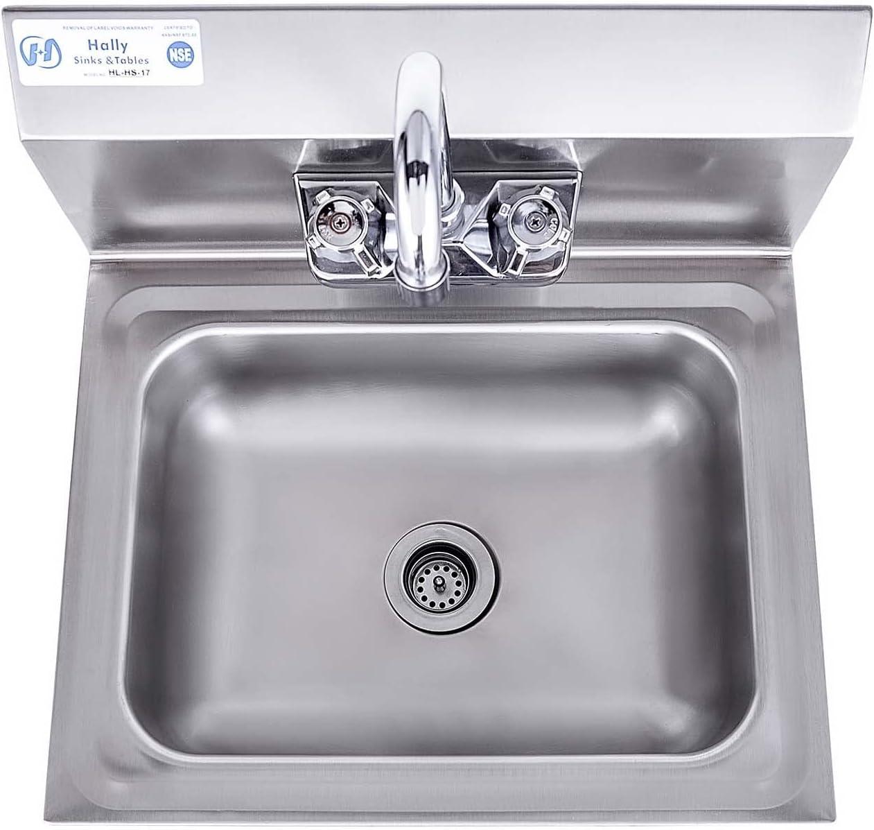 Hally 17'' Stainless Steel Wall Mount Hand Sink with Faucet