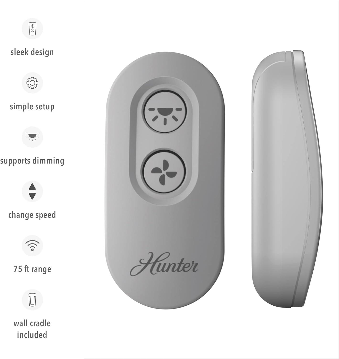 Hunter Gray Indoor Remote Control with Receiver