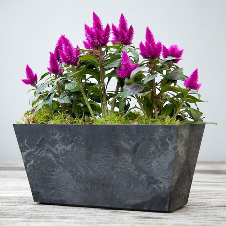 Novelty Artstone Ella Flower Box, Black, 14.5in