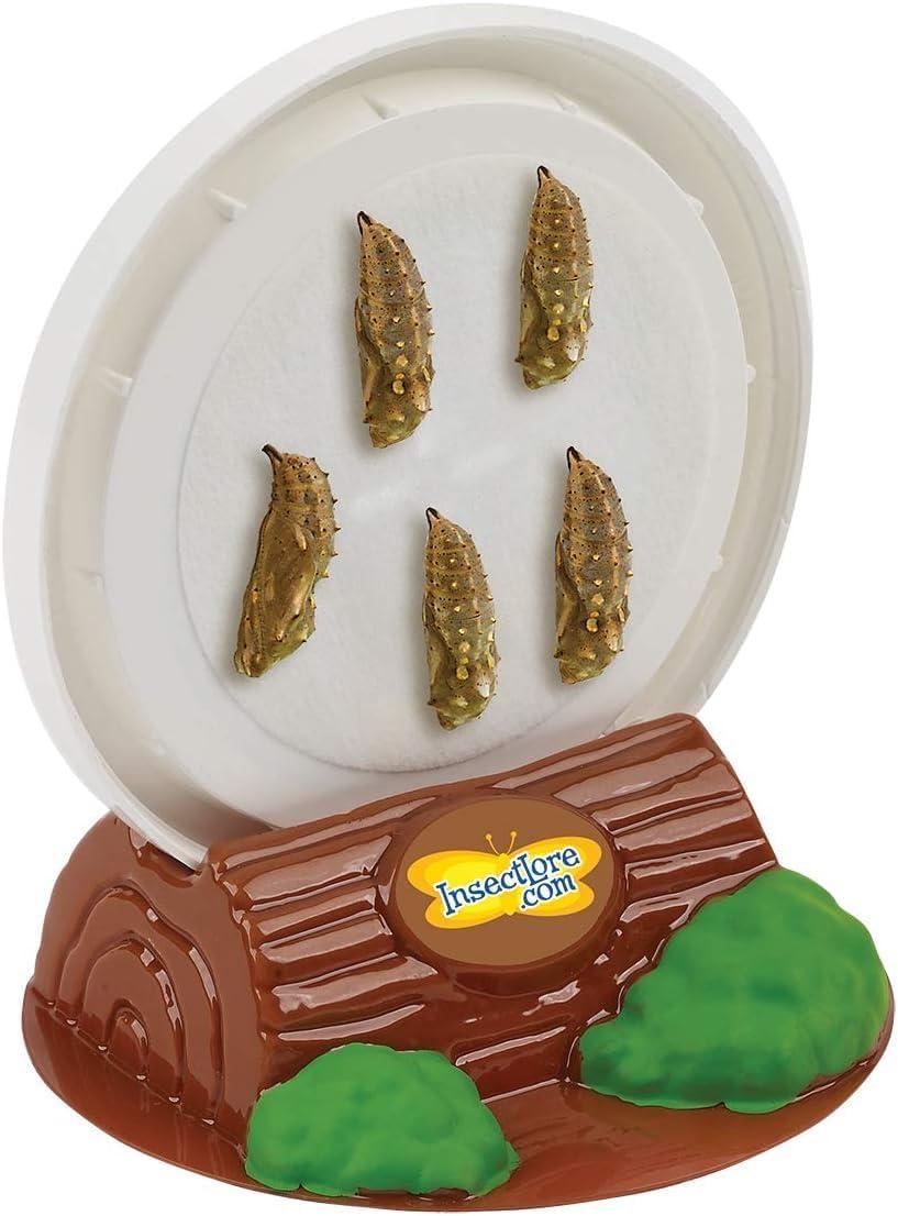 Insect Lore Giant Butterfly AIF9 Garden with Voucher | 18 Inch Habitat | Life Cycle Figurines Included | Voucher to Redeem 5 Baby Caterpillars Later | Raise Painted Lady Butterflies