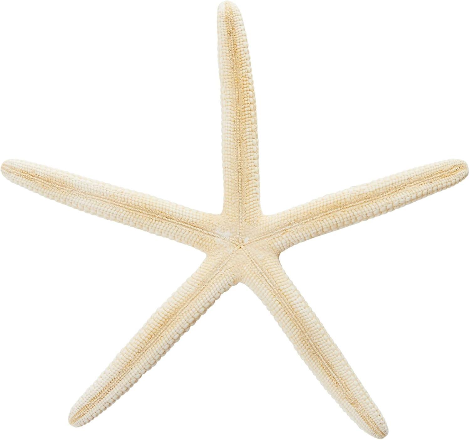 Juvale 12 Pack White Finger Starfish for Nautical Décor, Vase Filler, Craft Supplies (4 to 6 in)