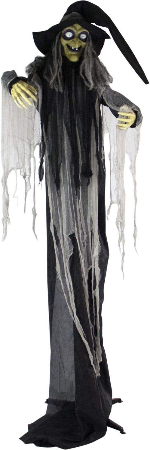 Haunted Hill Farm 9.5-Ft. Animatronic Witch, Indoor or Covered Outdoor Halloween Decoration, Light-up White Eyes, HHWITCH-16FLSA
