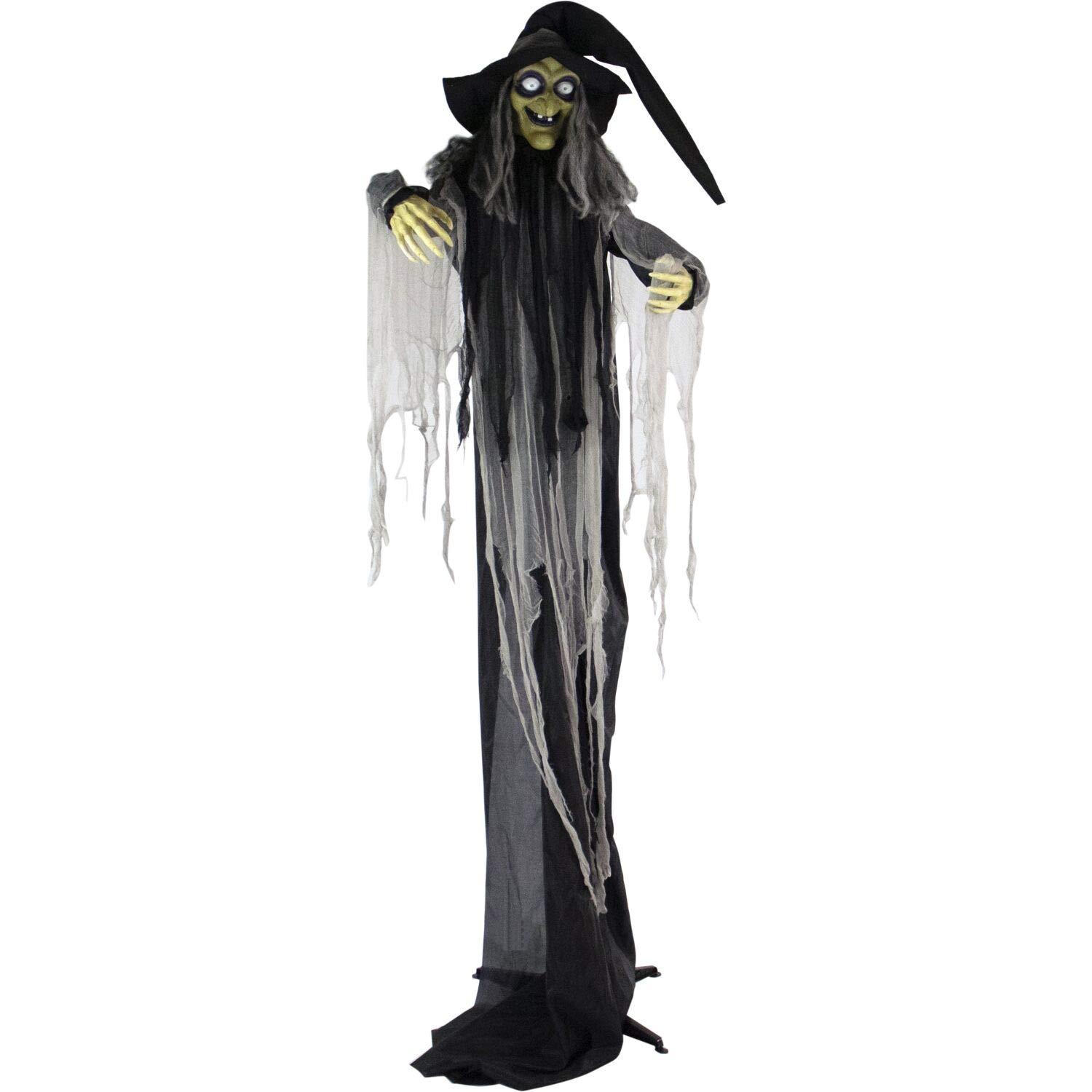 Haunted Hill Farm 9.5-Ft. Animatronic Witch, Indoor or Covered Outdoor Halloween Decoration, Light-up White Eyes, HHWITCH-16FLSA