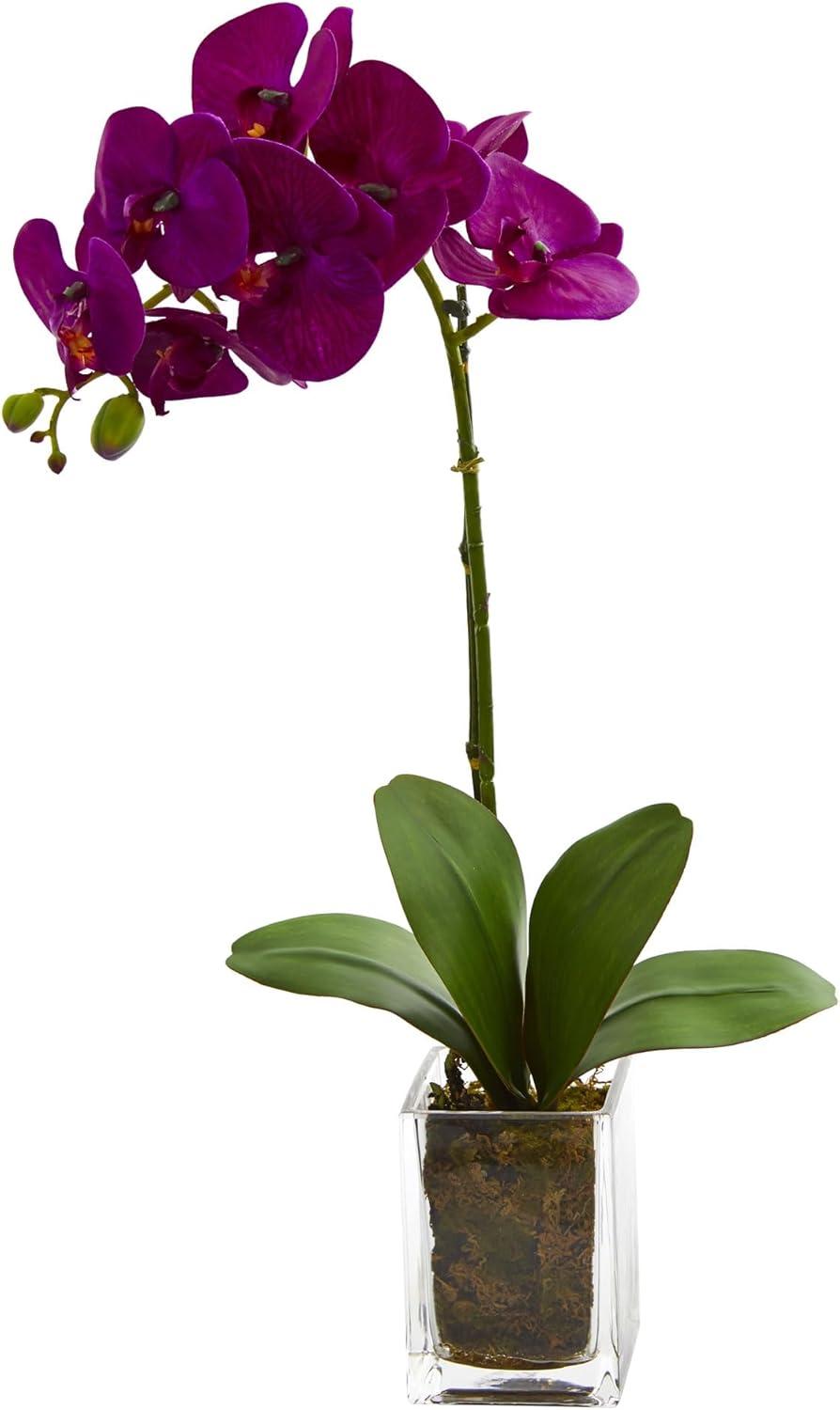 Nearly Natural 24-in Orchid Phalaenopsis Artificial Arrangement in Vase