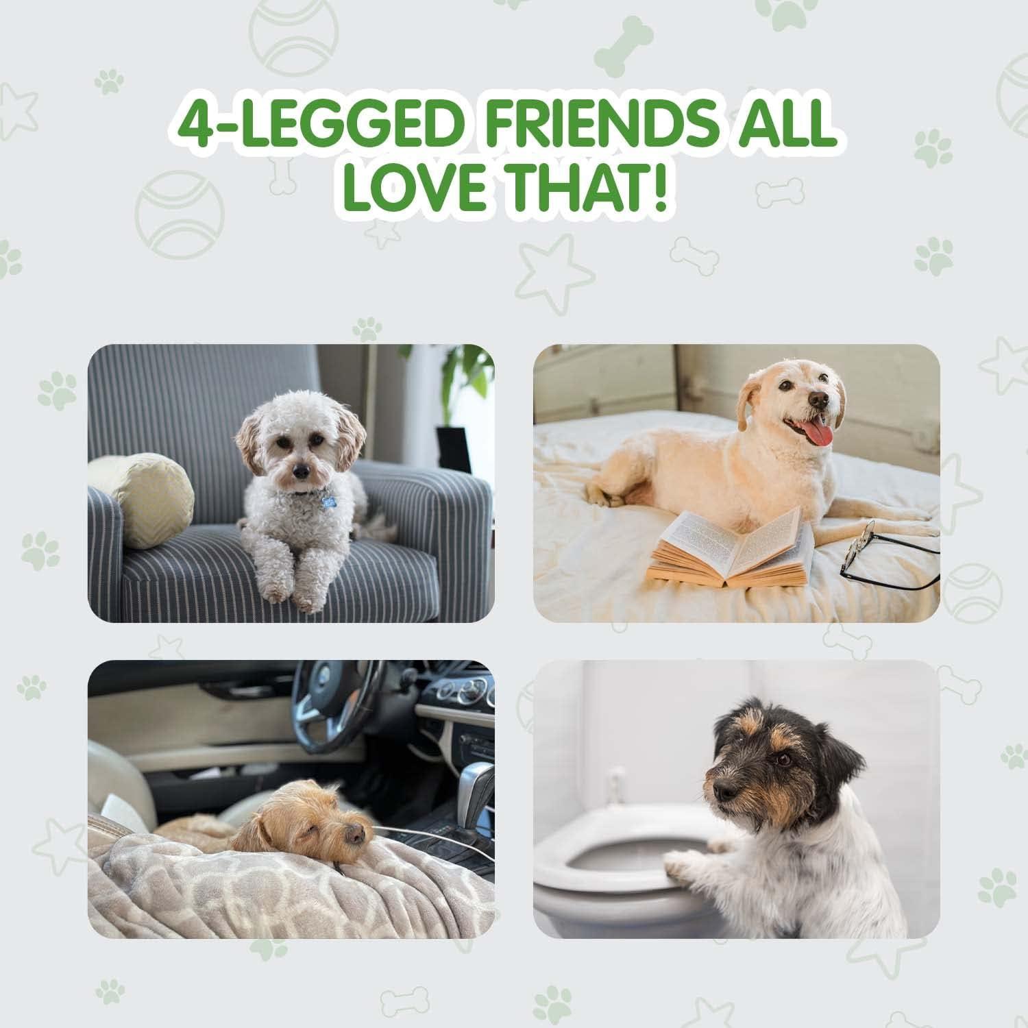 COCOYO Best Value Training Pads 100 Count 13“ by 17.7”| Dog Pee Pads | Super Absorbent Puppy Pads,Blue