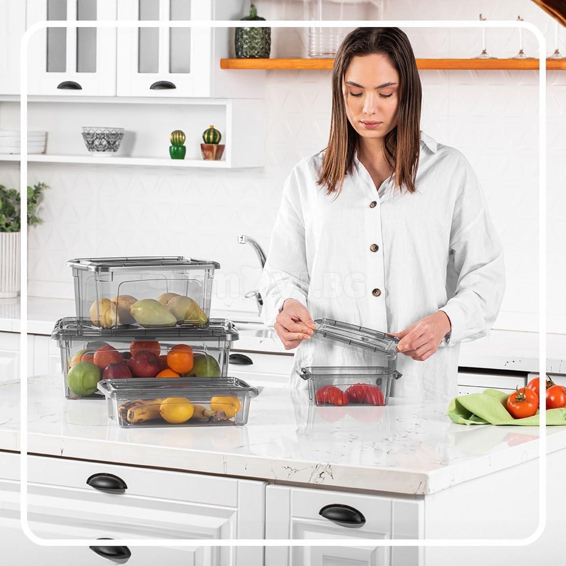 Tribello Small Storage Container Bin With Lids, 1.25Q Mini Plastic Storage Container With Latching Lids For Organizing - Tinted - (8’' x 6” x 3”) 1.25 Quart - Set of 6 - Made in EU