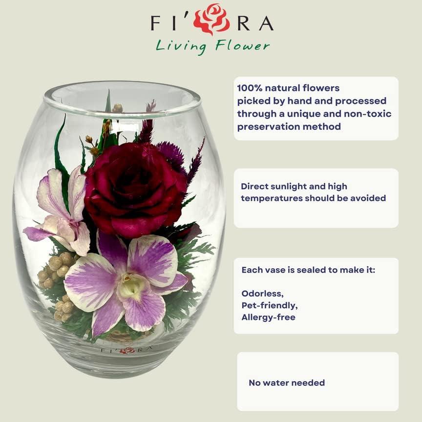 Fiora Flower Long-Lasting Roses and Orchid in a Glass Vase